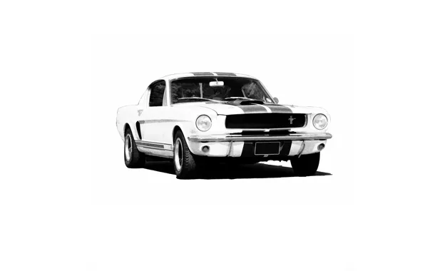 Picture Mustang, Ford, classic, the front