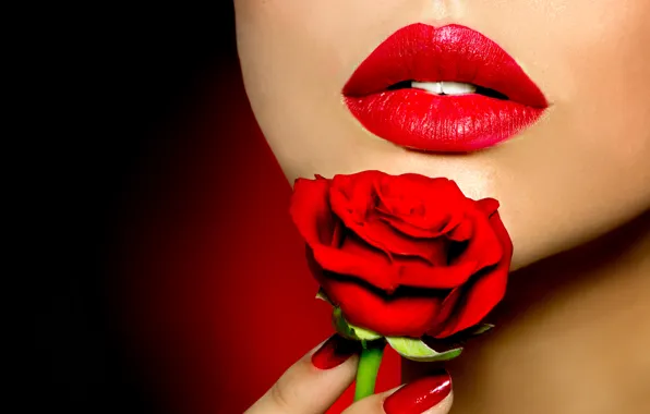 Picture flower, face, style, rose, lipstick, lips