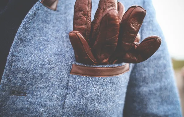 Picture clothing, gloves, brown, coat