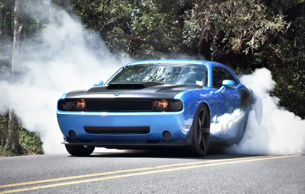 Picture Auto, Road, Trees, Smoke, Tuning, Machine, Dodge, Challenger