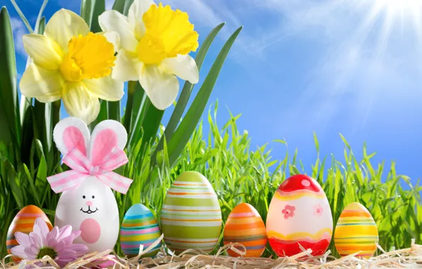 Picture grass, the sun, flowers, eggs, spring, Easter, sunshine, happy, flowers, daffodils, spring, eggs, easter