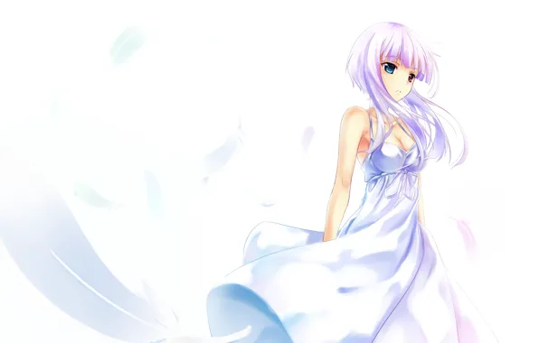 Picture girl, white, feathers, dress, art, white background, ame no uta