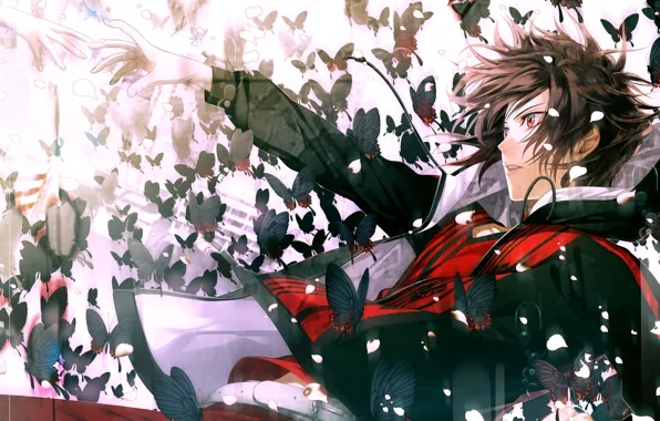 Picture butterfly, hands, petals, drop, guy, Amnesia, Shin