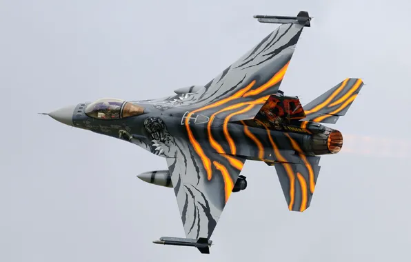 Picture fighter, turn, Fighting Falcon, F-16AM