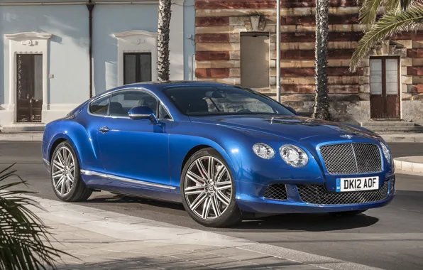 Picture blue, palm trees, background, street, coupe, Bentley, Continental, Bentley, Speed, the front, continental