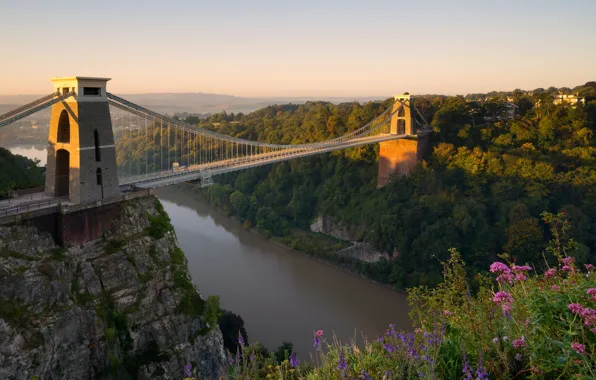 Picture flowers, bridge, river, England, panorama, England, Bristol, Bristol, the river Avon, Avon Gorge, Clifton Suspension …