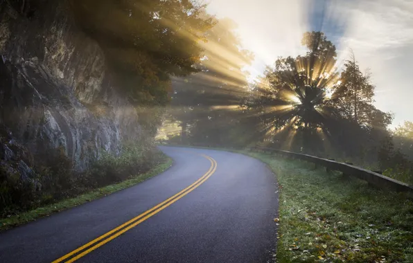 Picture road, rays, light, trees, nature, rocks, morning, haze