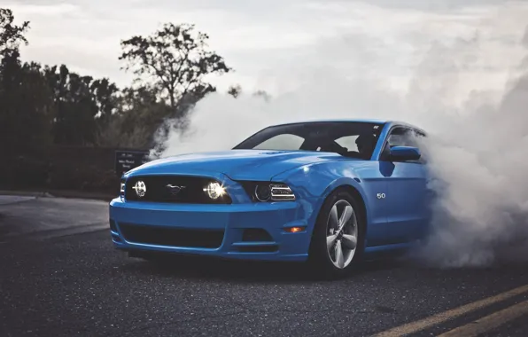 Picture Mustang, Ford, Blue, 5.0, Smoke, Muscle Car