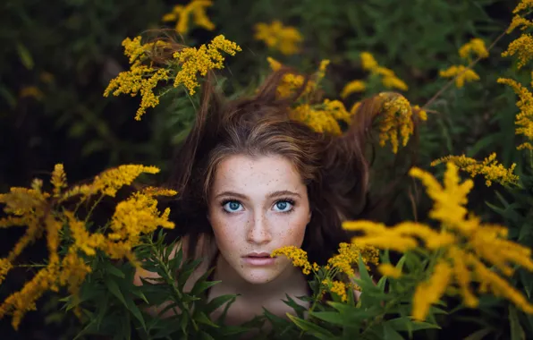 Picture girl, thickets, freckles, hide and seek, bokeh, Mimosa, Jesse Duke, Ailish