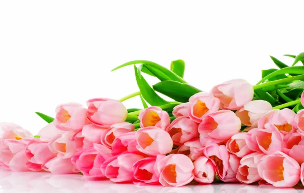 Picture flowers, bouquet, tulips, pink, pink, flowers, tulips
