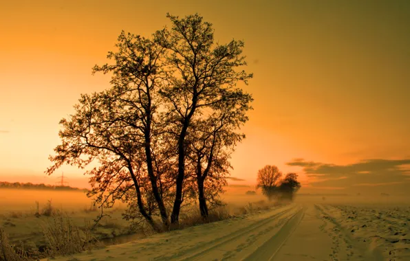 Picture winter, road, the sky, snow, trees, sunset, fog, haze, haze