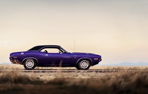 Picture Dodge Challenger, muscle car, 1970, lunchbox photoworks