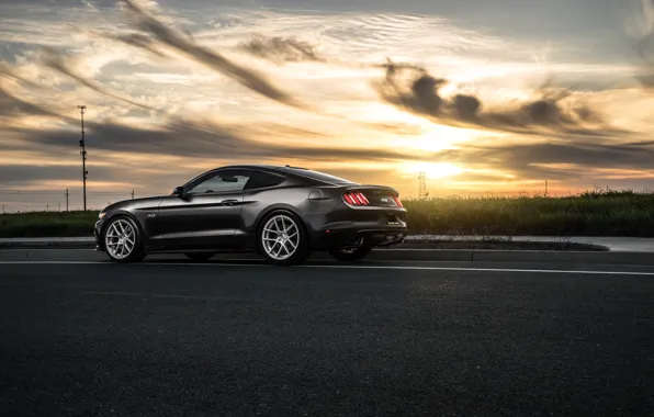 Picture Mustang, Ford, Muscle, Car, Sunset, Wheels, Before, Rear, 2015, Garde