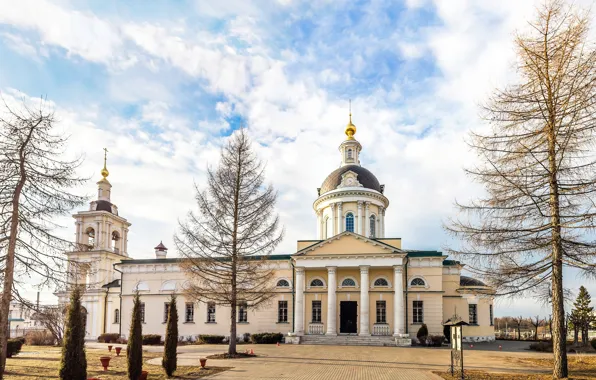 Picture trees, the city, the building, Church, panorama, Cathedral, temple, architecture, Kolomna