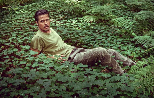 Picture greens, leaves, nature, actor, male, Brad Pitt, Brad Pitt