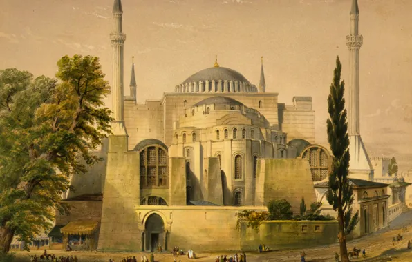 Picture trees, the city, picture, mosque, Istanbul, Turkey, the minaret, Hagia Sophia, , While Agia Sophia