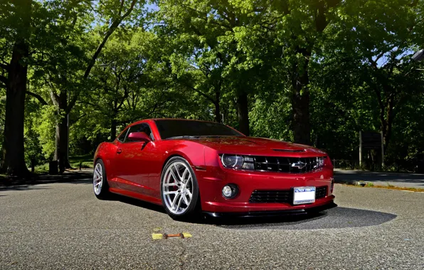 Picture auto, trees, red, Chevrolet, chevrolet, muscle car, camaro ss, Camaro