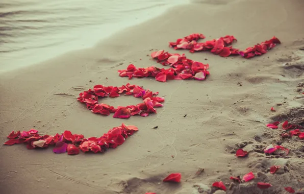 Picture sand, beach, love, romance, petals, love, beach, sea, romantic, sand, sweet, petals