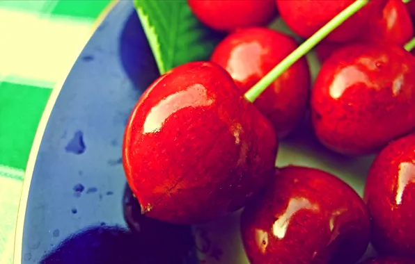 Picture macro, cherry, berries