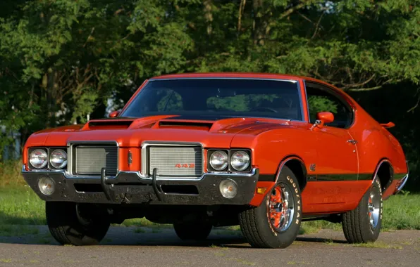 Picture trees, orange, background, coupe, Coupe, the front, Muscle car, 1972, Hardtop, Muscle car, 442, Oldsmobile, …