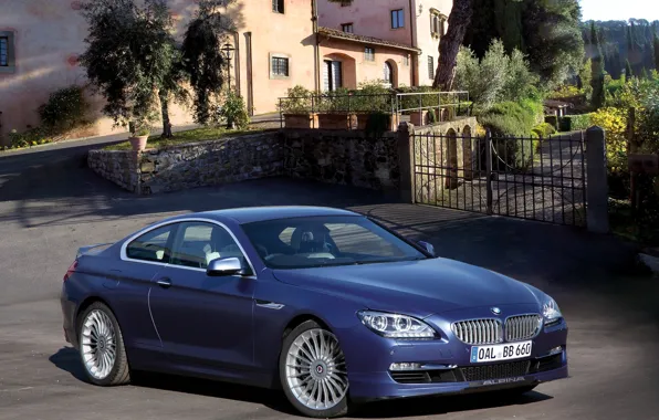 Picture photo, Blue, BMW, Tuning, 2012, Car, Coupe, Bi-Turbo