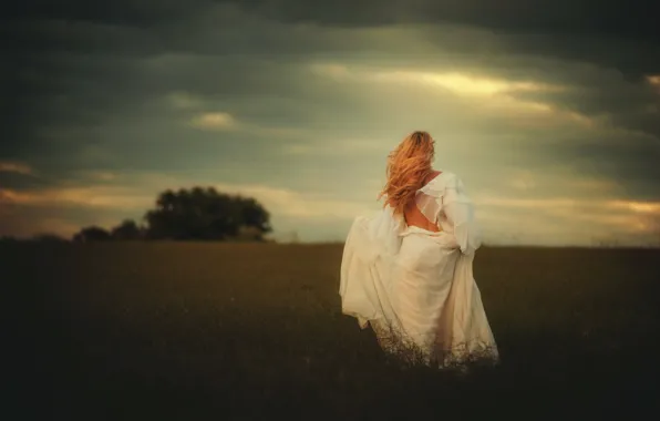 Picture field, girl, hair, dress, TJ Drysdale, Farther Along