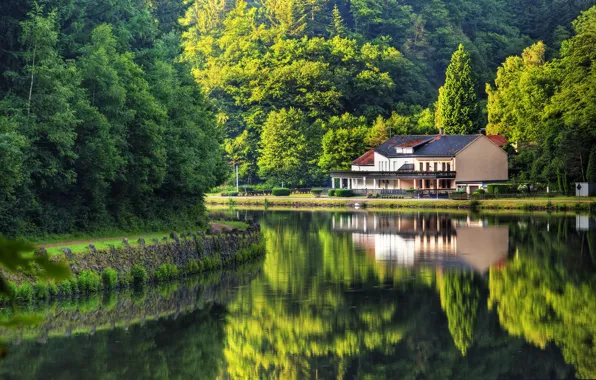 Picture summer, trees, nature, house, reflection, river, Germany