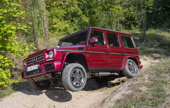 Picture Mercedes, AMG, AMG, W463, 2015, G 63, Mercedоs-Benz
