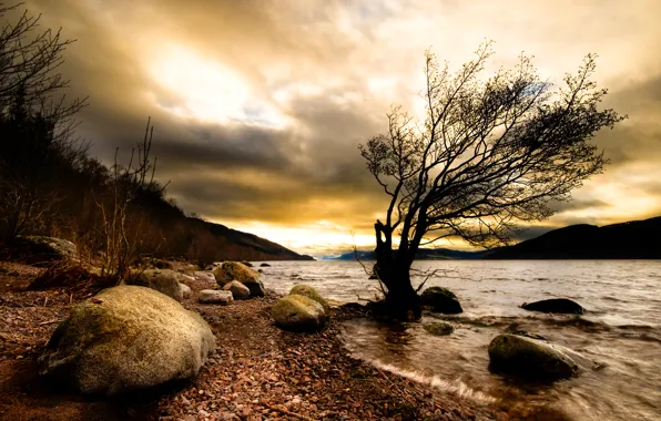 Picture nature, river, stones, tree, the darkness