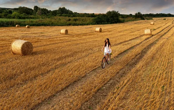Picture road, field, the sky, girl, clouds, bike, hay, girl, walk, sky, field, clouds, walk, hay, …