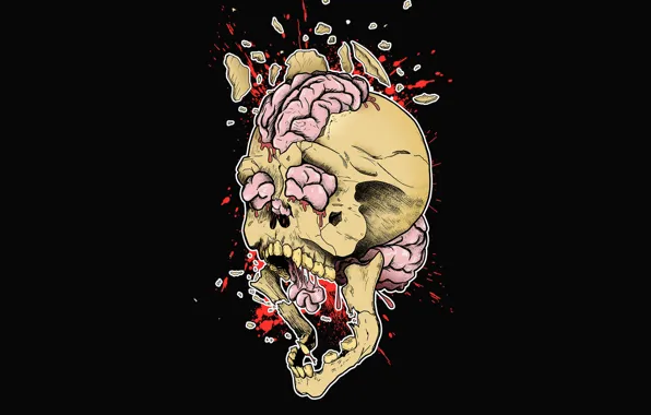 Picture the explosion, squirt, fragments, creative, figure, skull, art, brain, black background, print, the gap, print