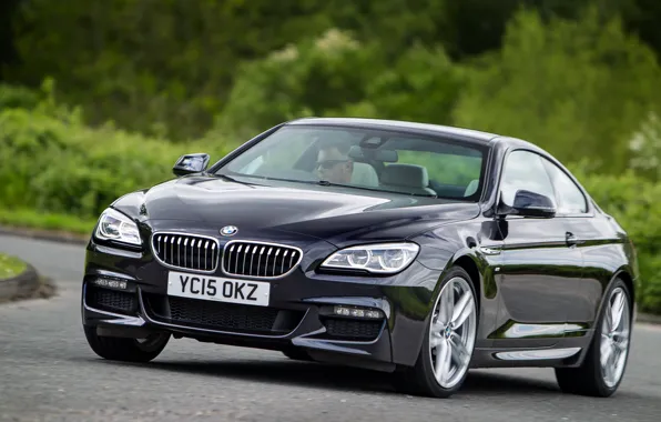 Picture BMW, coupe, BMW, Coupe, Sport, UK-spec, F13, 640d, 2015