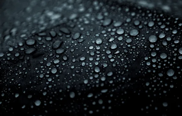Picture water, drops, macro, umbrella