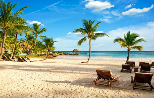 Picture sand, sea, beach, tropics, palm trees, shore, summer, beach, sea, ocean, paradise, vacation, palms, tropical