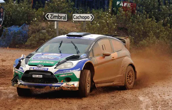 Picture Ford, Auto, Sport, Machine, Rain, Ford, Race, Dirt, WRC, Rally, Fiesta, The front, Overcast