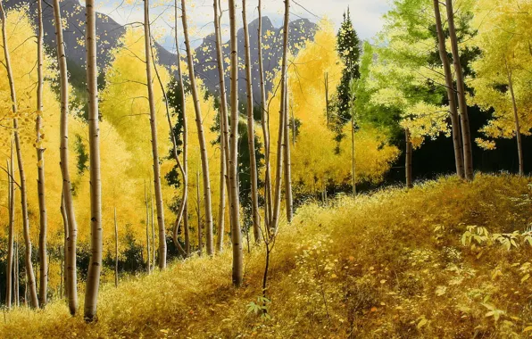 Picture autumn, mountains, picture, peace, September, aspen