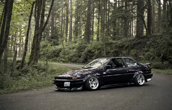 Picture forest, black, Toyota, black, Toyota, AE86, stance, Corolla, JDM, Corolla