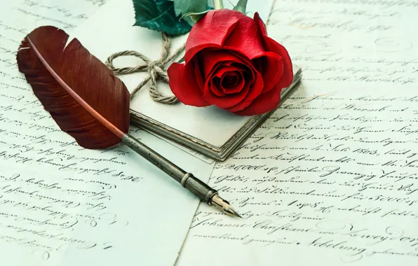 Wallpaper letter, pen, rose, red, rose, flower, letter images for ...