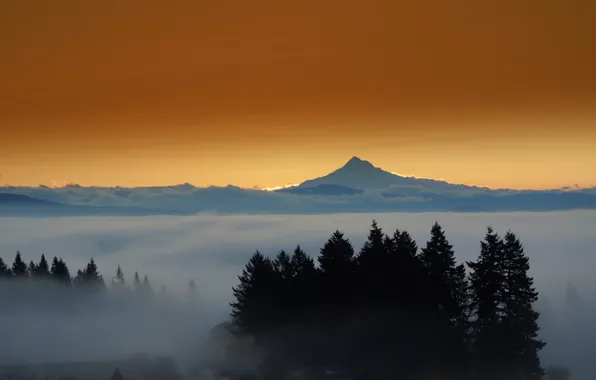 Picture forest, mountains, the city, lights, fog, the evening, mount Hood, Eastern Oregon