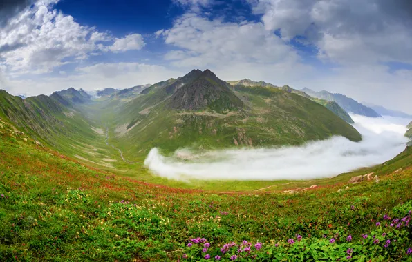 Picture the sky, clouds, mountains, valley, summer.flowers