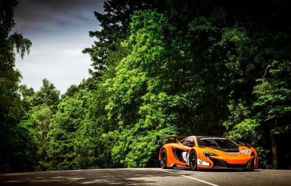 Picture McLaren, Auto, Road, Trees, Forest, Sport, Orange, Day, GT3, Supercar, Sports car, 650S