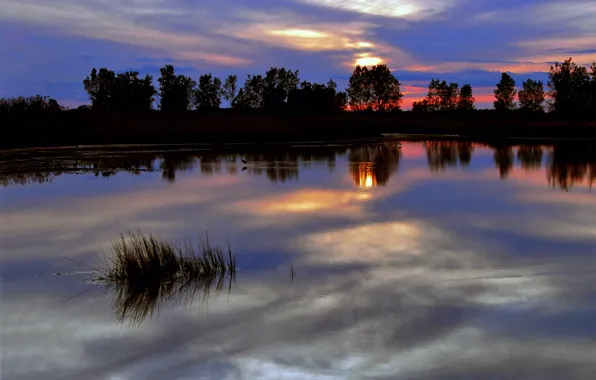 Picture the sky, trees, sunset, red, bright, clouds, surface, reflection, river, blue, The evening, twilight