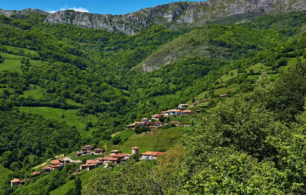 Picture mountains, field, panorama, houses, Spain, forest, Asturias, Proaza