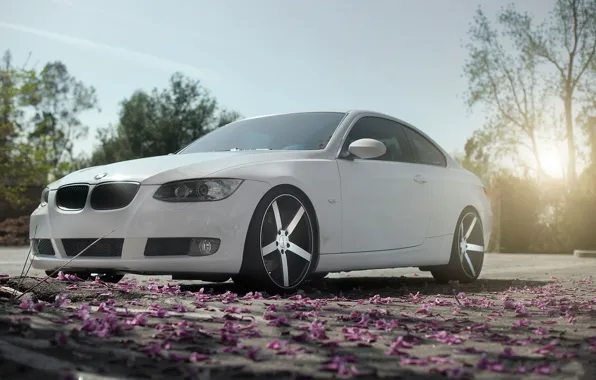 Picture Auto, Trees, BMW, Garden, Tuning, Machine, Petals, Drives