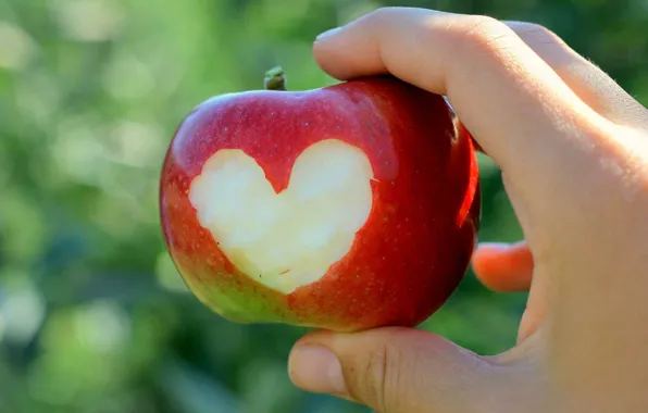 Picture heart, Apple, hand