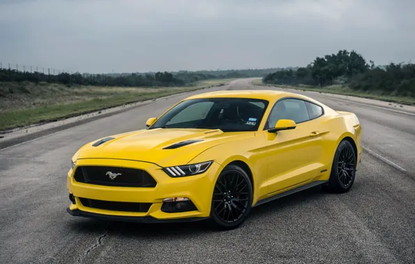 Picture Mustang, Ford, Mustang, Ford, Hennessey, Supercharged, 2015, HPE750