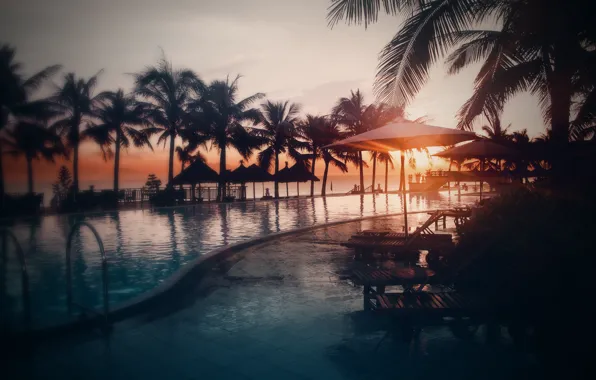 Picture Sunset, The sun, The sky, Water, Sea, Beach, Photo, Pool, Palm trees