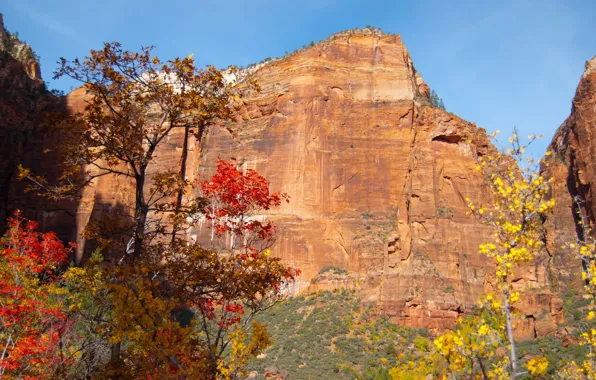 Picture autumn, the sky, leaves, trees, rock, mountain