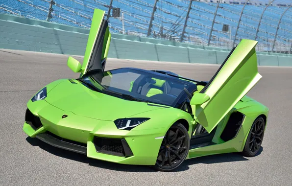 Picture green, Roadster, Lamborghini, track, LP700-4, Aventador, door