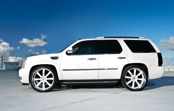 Picture roof, white, profile, Parking, white, wheels, drives, Cadillac, cadillac, escalade, the Escalade